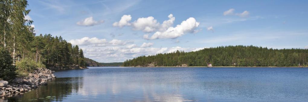 The Best Joutsa Hotels, Finland (From 87)