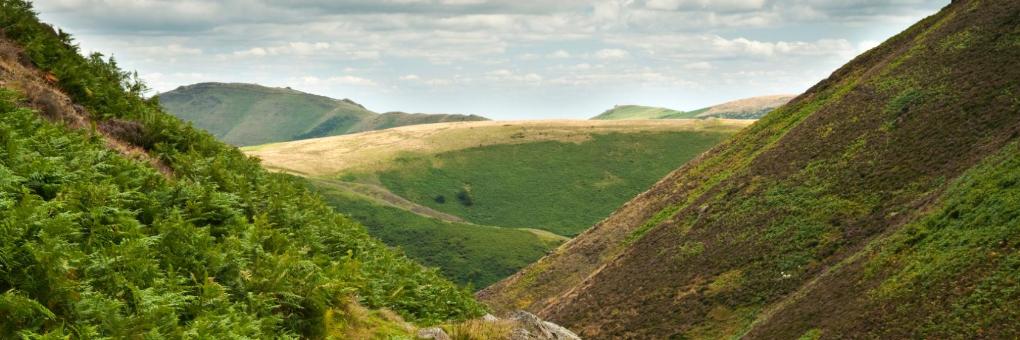 The 10 Best Pet-friendly Hotels In Church Stretton Uk Bookingcom
