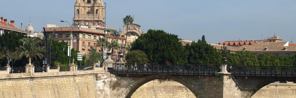 Los mejores hoteles Murcia  desde     35 