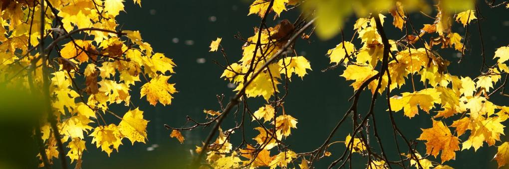 Quality Inn Huntington