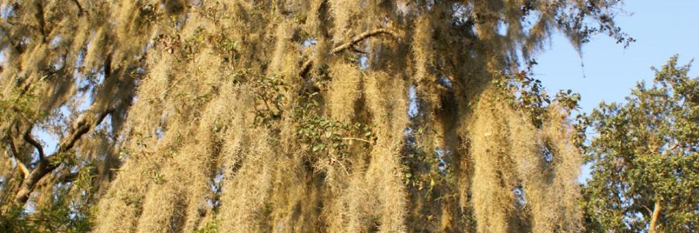 Budget Inn of Jasper