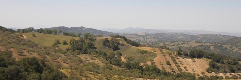 Cambridge Inn Motor Lodge