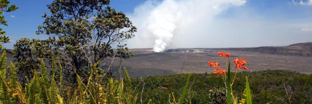 Volcano Singing Forest Cottage