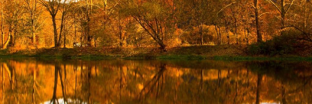 Holiday Inn Express Braintree