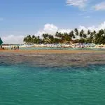 Best time to visit Porto De Galinhas