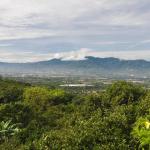 {{ hotelInfo.altText }}