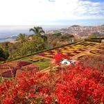 Five-star hotels in Funchal