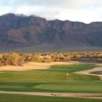 {{ hotelInfo.altText }}