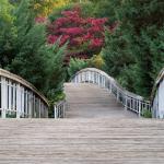 {{ hotelInfo.altText }}