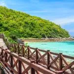 Best time to visit Pattaya South
