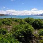 Best time to visit Lake Tekapo