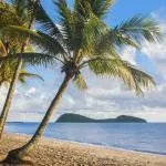Best time to visit Palm Cove