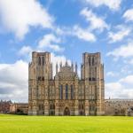 {{ hotelInfo.altText }}