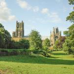 {{ hotelInfo.altText }}