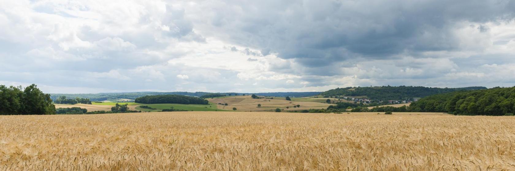 Die 10 besten Hotels in Bad Mondorf, Luxemburg (Ab € 94)