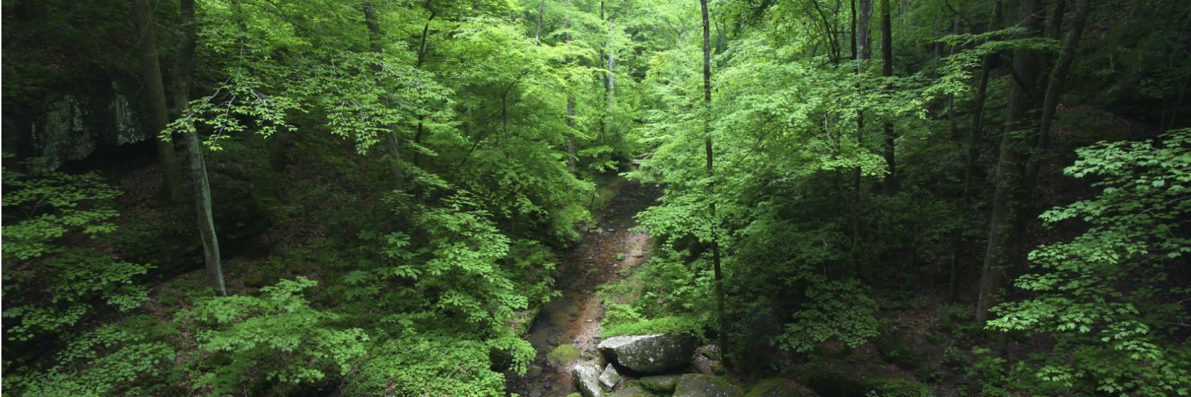 The best available hotels & places to stay near Guin, AL