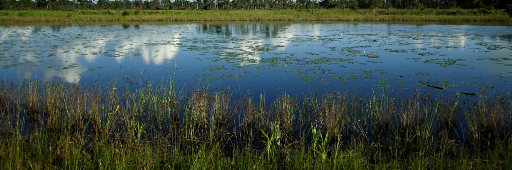 Quality Inn Conference Center at Citrus Hills