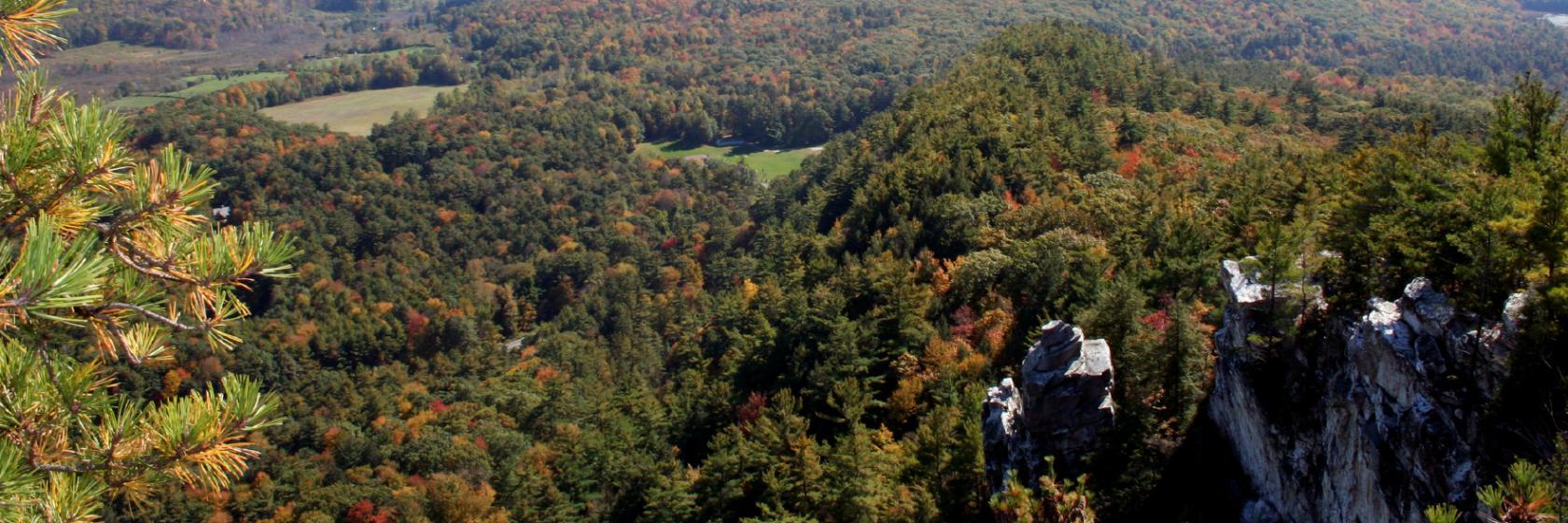 The Egremont Village Inn