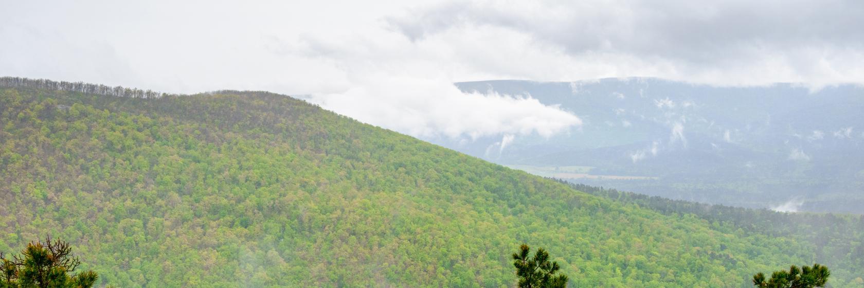 Executive Inn at Mena