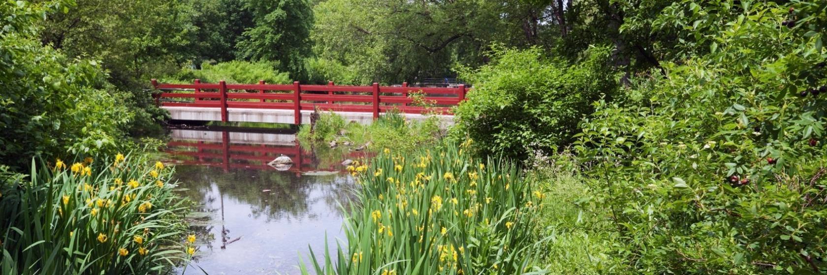 Econo Lodge Willowbrook