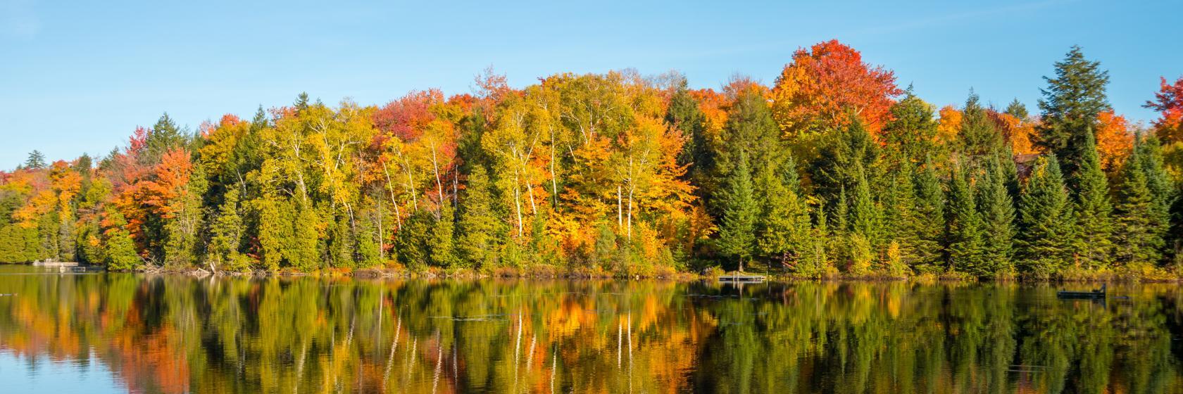 Hôtels à Sainte Anne des Lacs. Hôtels avec Meilleur Prix Garanti !