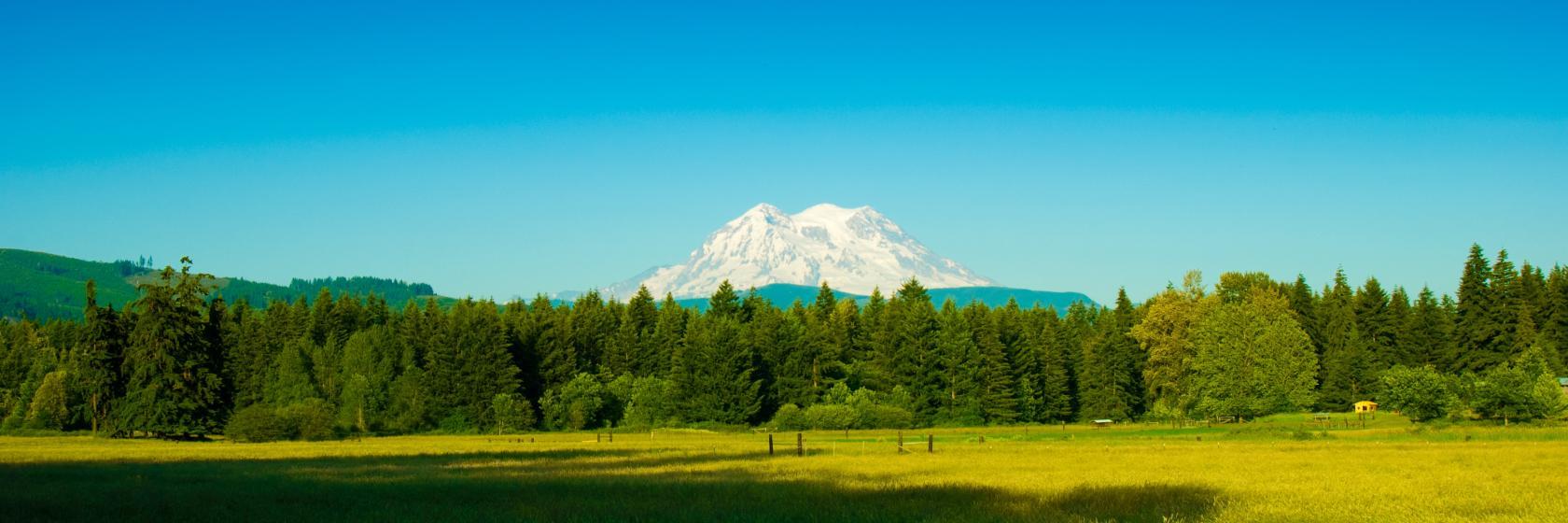 The best available hotels & places to stay near Eatonville, WA