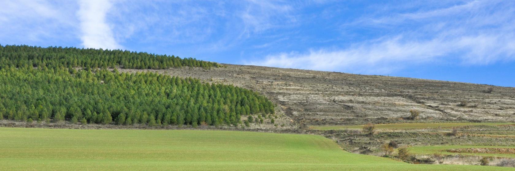 Hoteles baratos cerca de Casarejos, Castilla y León Dónde dormir en