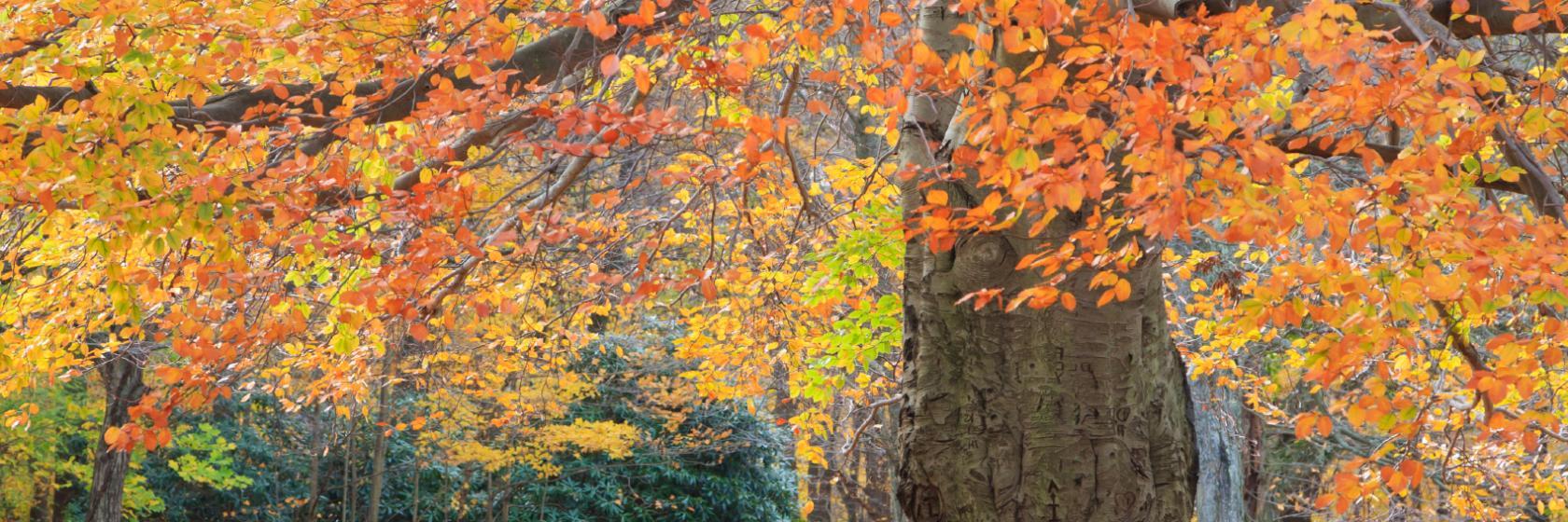 Budget Inn North Stonington