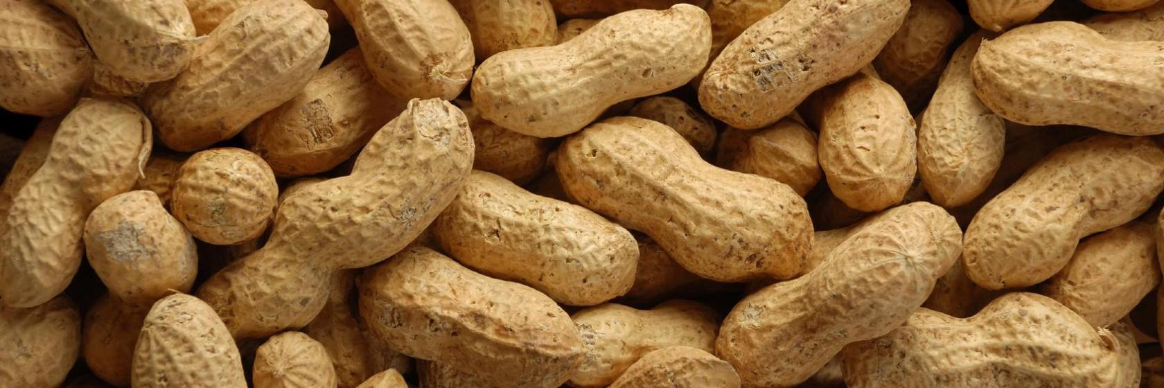 Quality Inn Fitzgerald