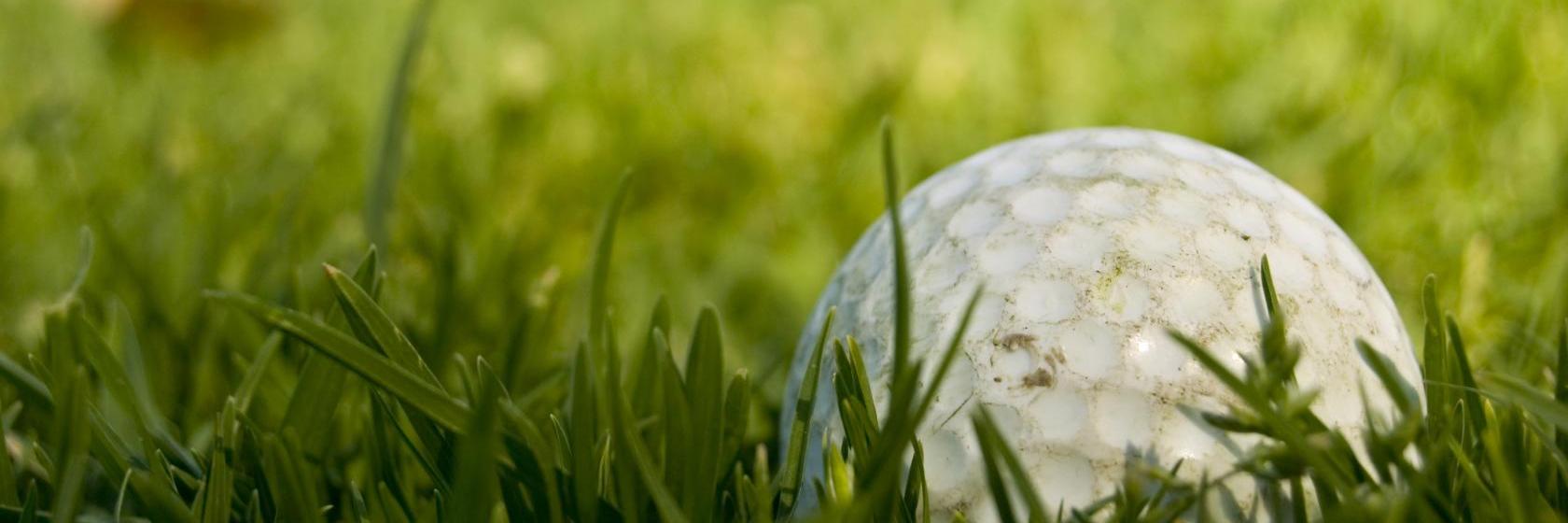 The Best Southern Pines Hotels (From 63)