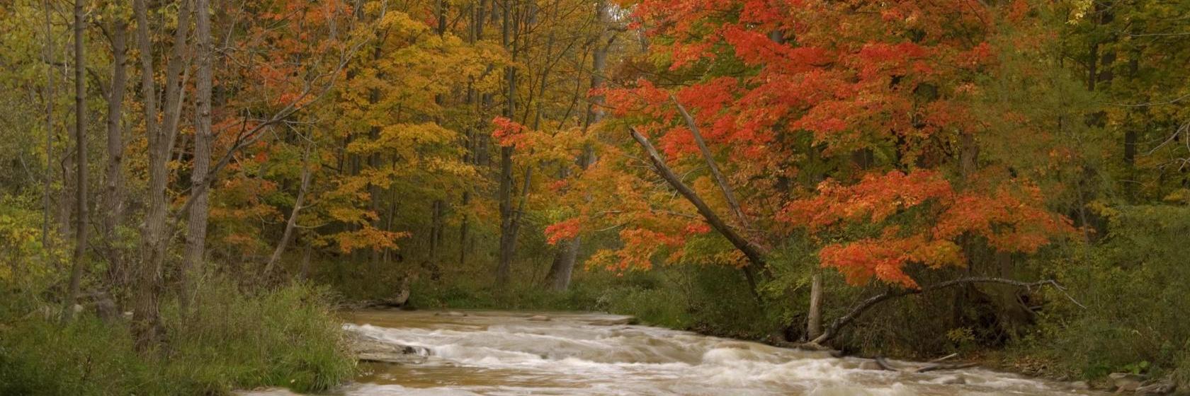 Comfort Inn and Suites Kent