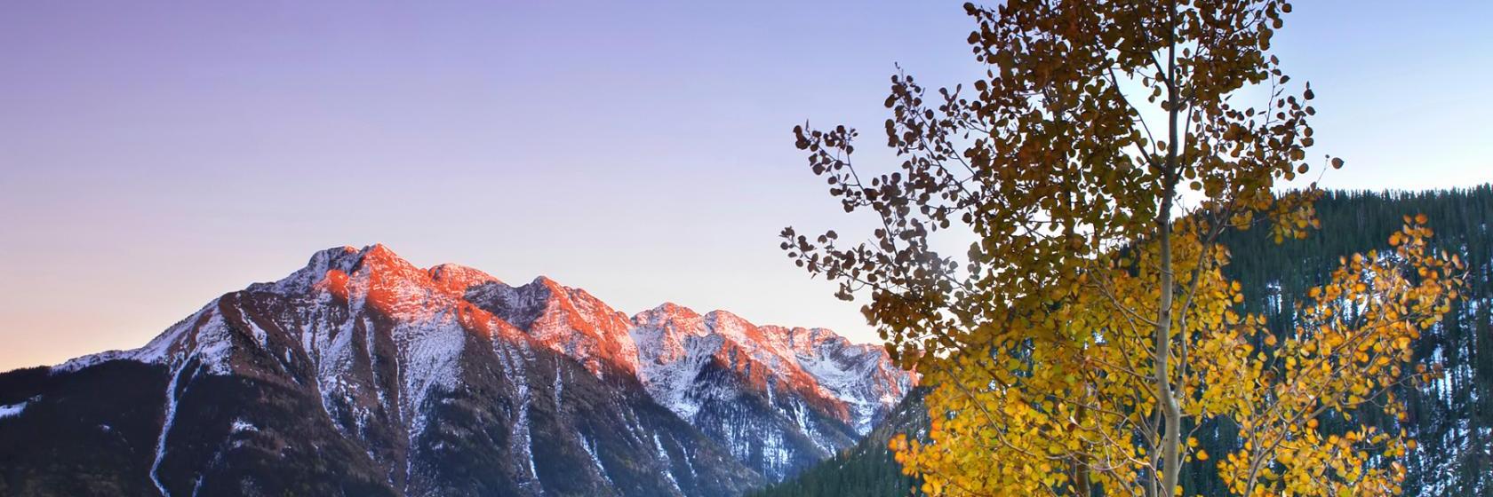 The Durango Downtown Inn