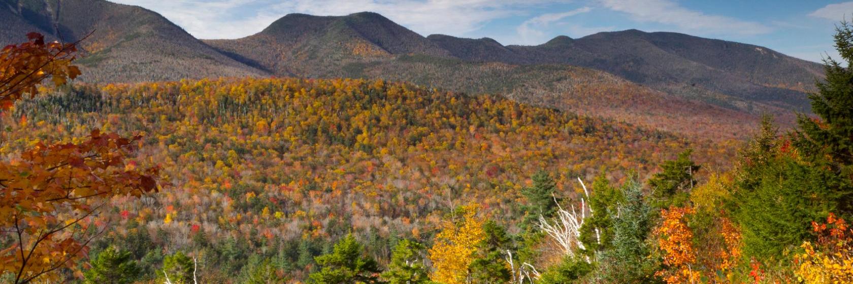 Sky Valley Motel and Cottages