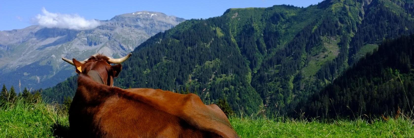 Die besten Hotels in VillelaGrand, Frankreich (Ab € 50)