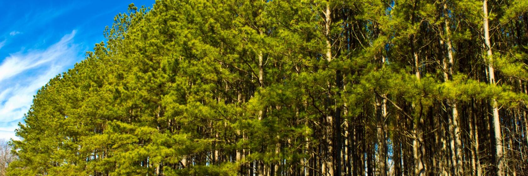 The best available hotels & places to stay near Pembroke, NC