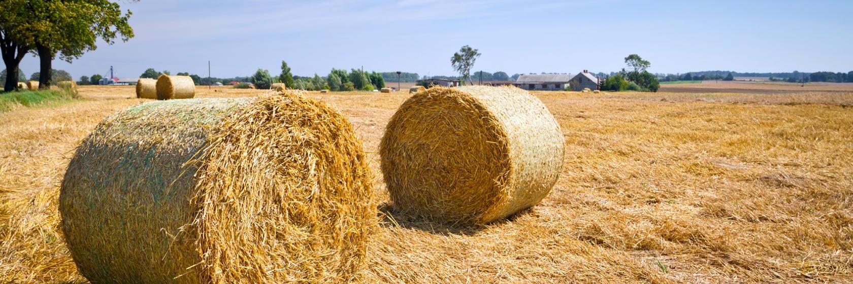 The best available hotels & places to stay near EssertinessurRolle