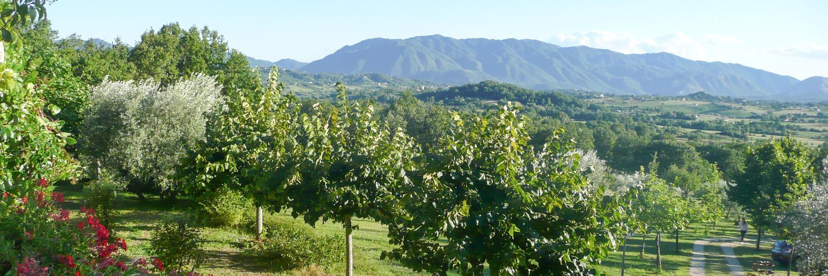 10 Best San Donato Val di Comino Hotels, Italy (From 110)