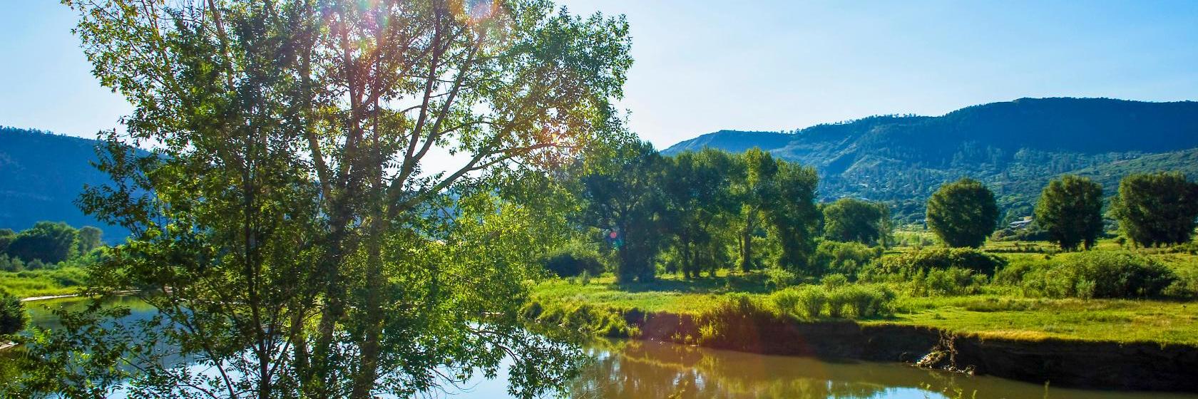 Apple Orchard Cottages