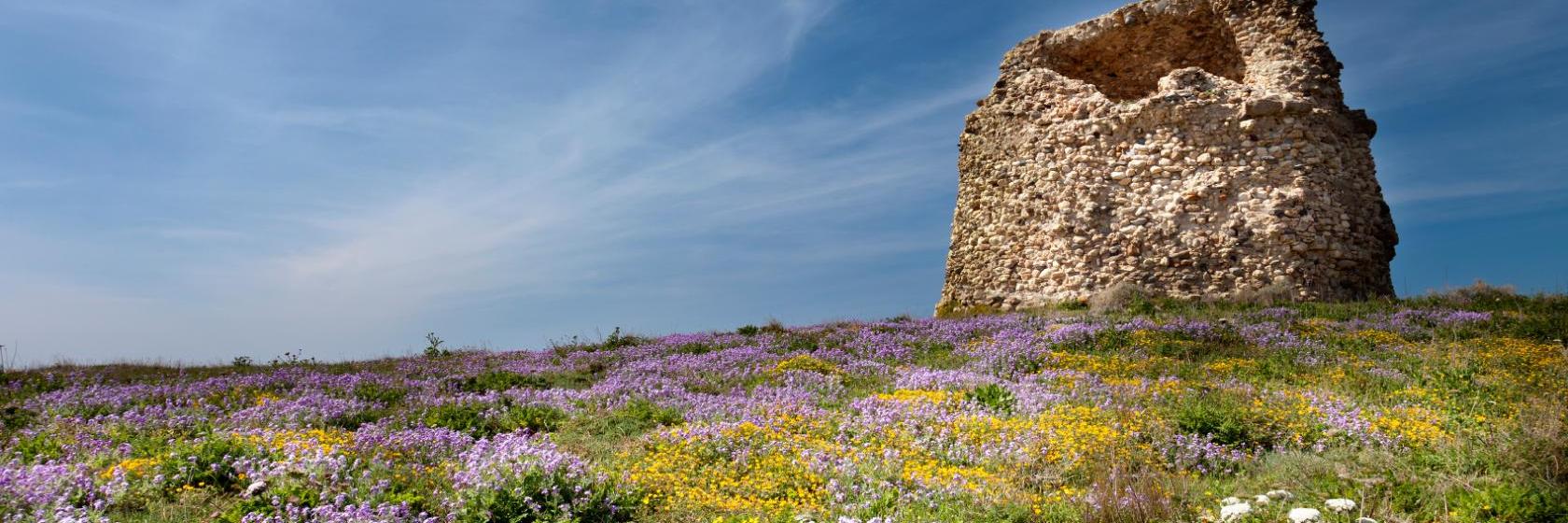 The best available hotels & places to stay near Sennariolo, Italy