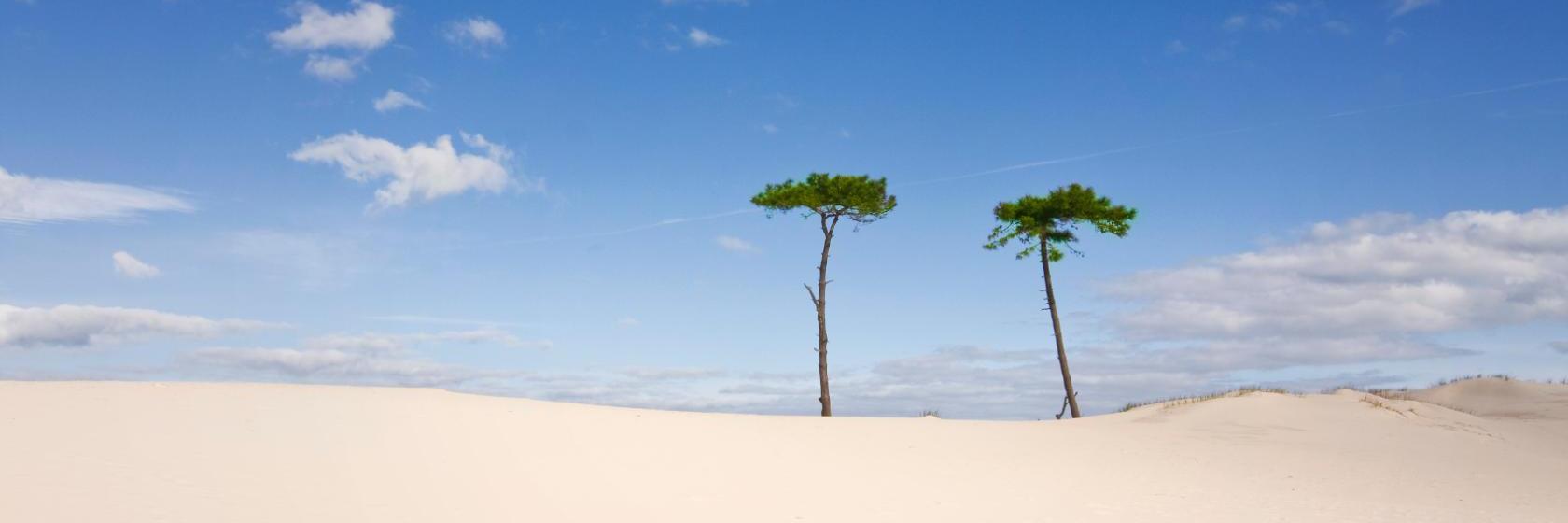 Hoteles baratos cerca de Arenitas Blancas, Uruguay Dónde dormir cerca