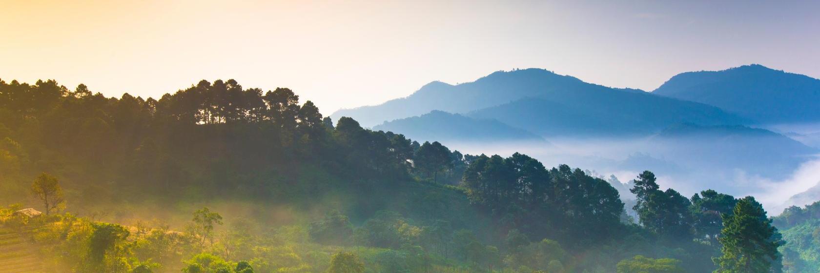 The best available hotels & places to stay near Saluang, Thailand