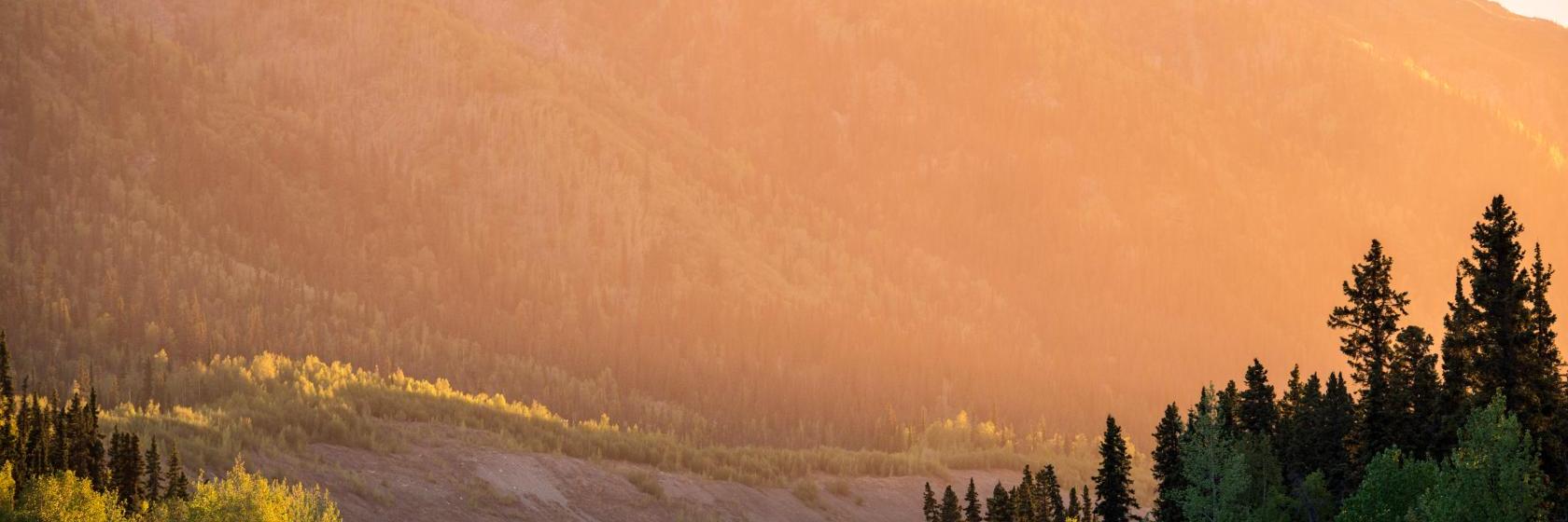 The best available hotels & places to stay near Beaver Creek, Canada