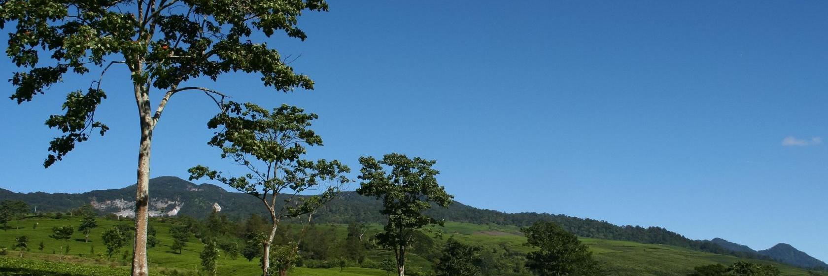 10 Hotel Terbaik di Lembang (Dari Rp 51.098)