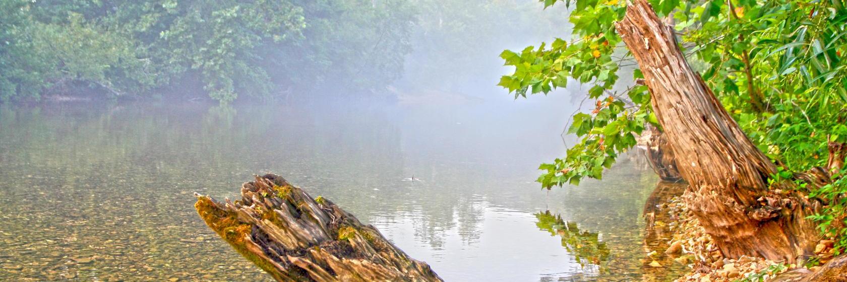 Greenbrier Inn  Branson