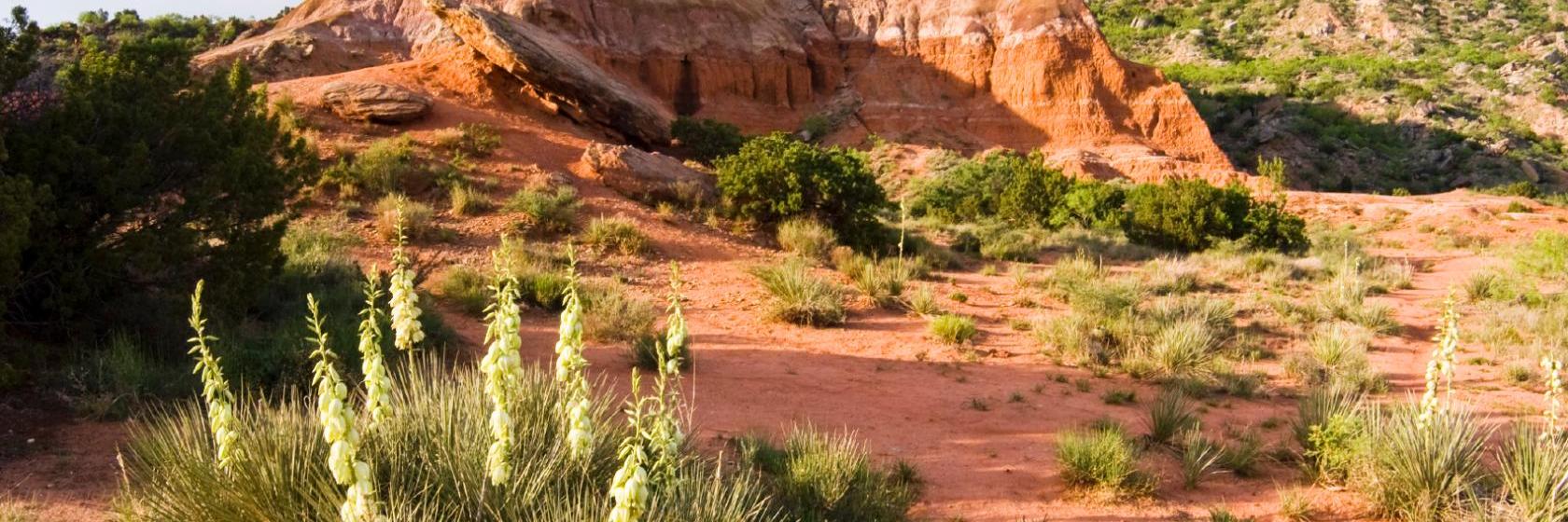 Comfort Suites South Amarillo