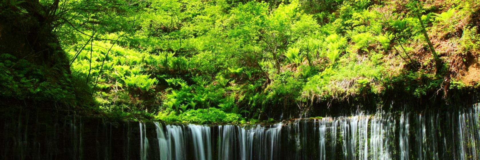 Die 10 Besten Hotels In Karuizawa Japan Ab 50