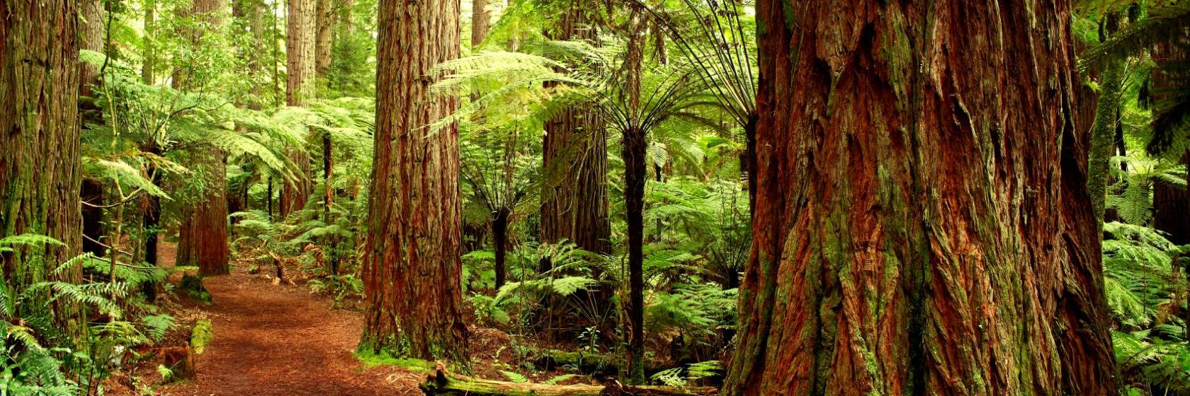 Les meilleurs hôtels à LivryGargan (à partir de € 79)