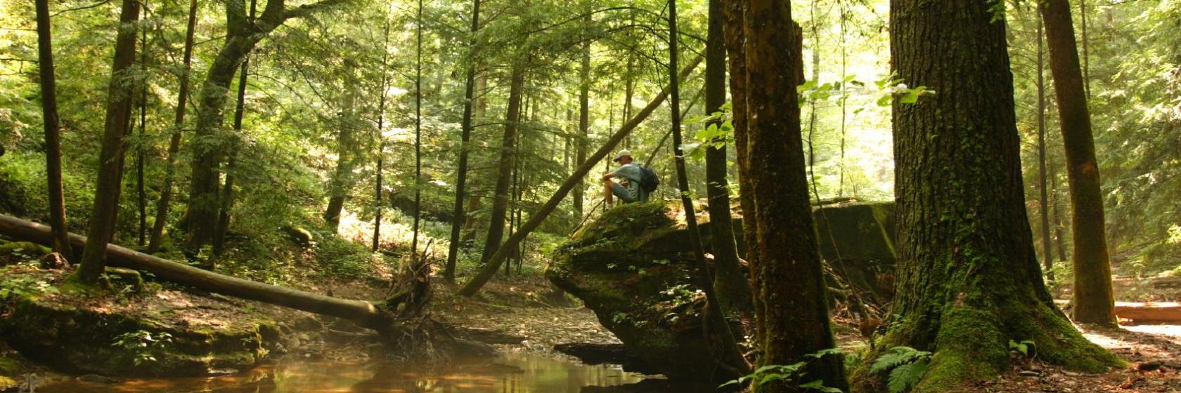 Americas Best Value Inn  Somerset