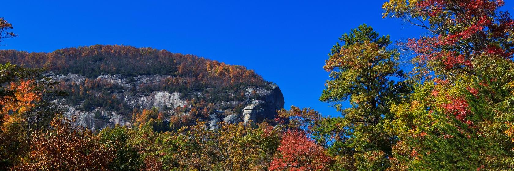 Mountain Inn and Suites Airport  Hendersonville