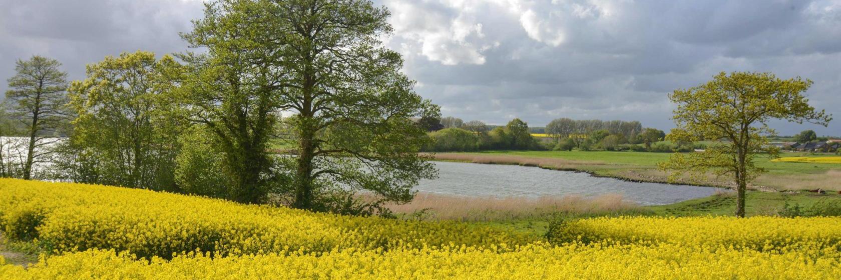 Die 10 besten Hotels in Hasselberg (Ab € 104)